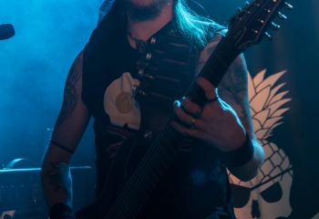 Calico - Photo by Marc