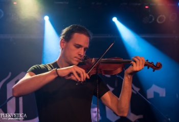 Calico - Photo by Marc