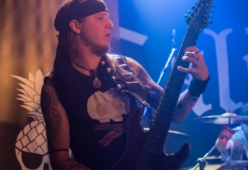 Calico - Photo by Marc