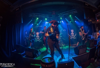 Calico - Photo by Marc