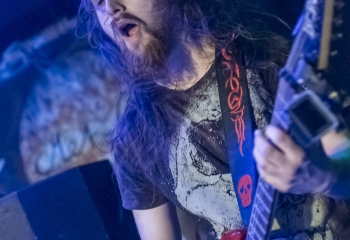 Chakora - Photo By Dänu