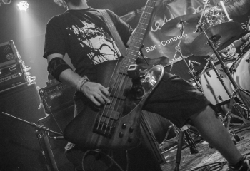 Chakora - Photo By Dänu