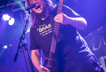 Chakora - Photo By Dänu