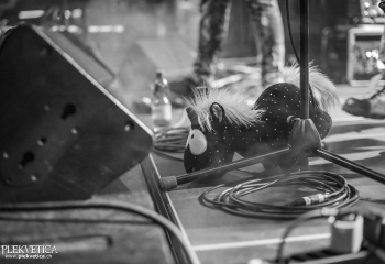 Circus of Fools - Photo By Dänu