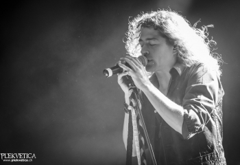 Creeper - Photo By Dänu