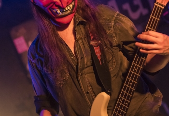 Creeper - Photo By Dänu