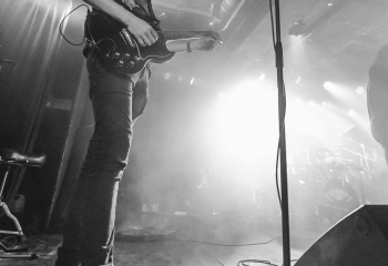 Creeper - Photo By Dänu