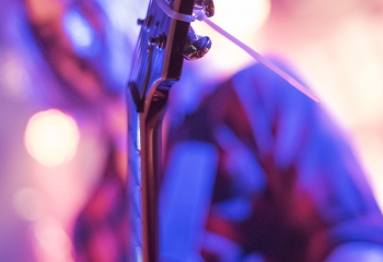 Creeper - Photo By Dänu