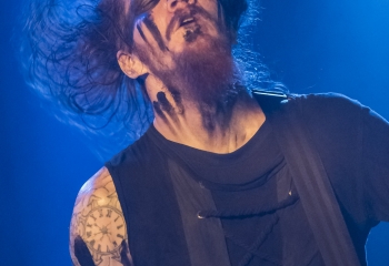 Dead Horse Trauma - Photo By Dänu