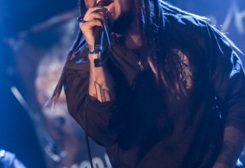 Dead Horse Trauma - Photo By Dänu