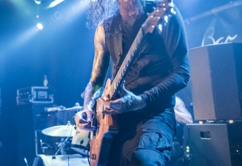 Dead Horse Trauma - Photo By Dänu