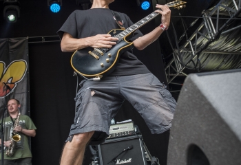 Dog Eat Dog - Photo By Dänu