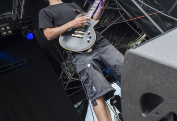 Dog Eat Dog - Photo By Dänu