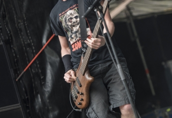 Dog Eat Dog - Photo By Dänu