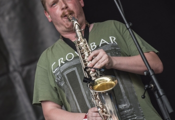 Dog Eat Dog - Photo By Dänu