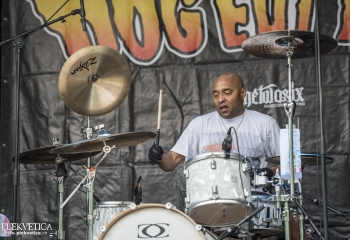 Dog Eat Dog - Photo By Dänu