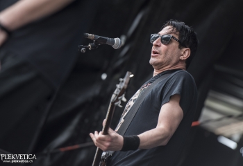 Dog Eat Dog - Photo By Dänu