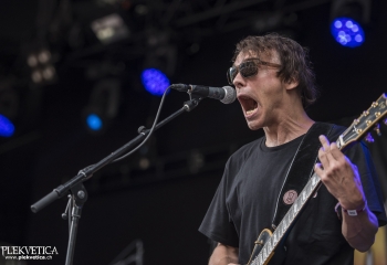 Dog Eat Dog - Photo By Dänu