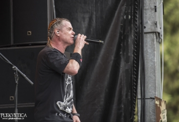 Dog Eat Dog - Photo By Dänu