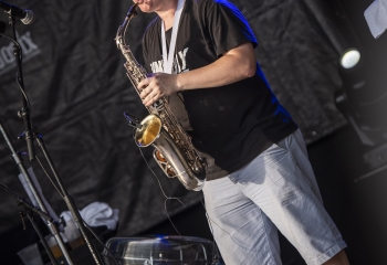 Dog Eat Dog @ Open Air Gränichen - Photo By Dänu