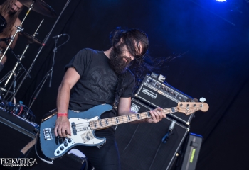 Dool  - Photo by Marc