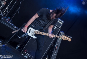 Dool  - Photo by Marc