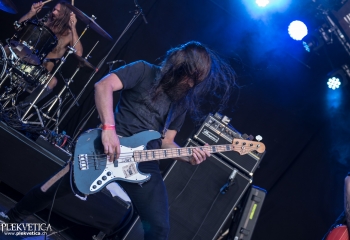 Dool  - Photo by Marc