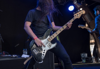 Dool  - Photo by Marc