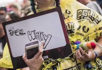 Dritte Wahl - Photo By Dänu