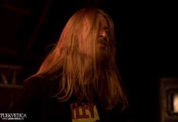 Emerald - Photo by Nati