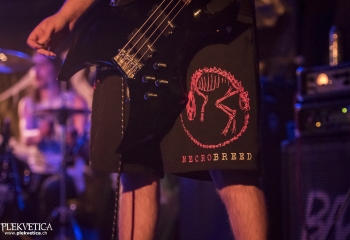 Endlevel - Photo By Dänu