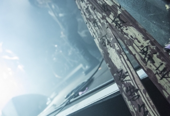 Evil - Photo By Dänu