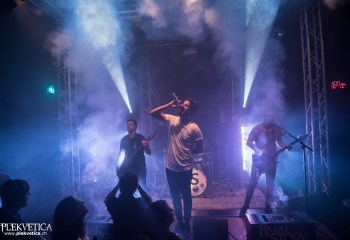 FInal Story - Photo by Marc