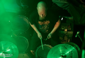 Gonoreas - Photo by Nati