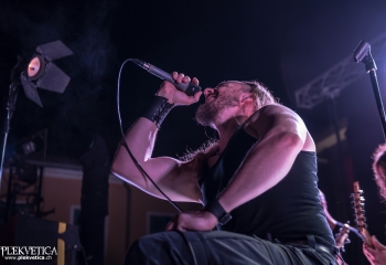 Gonoreas - Photo by Marc