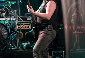 Green Labyrinth - Photo by Marc