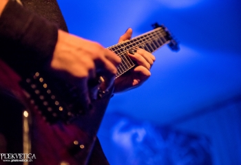 Hammer King - Photo by Marc