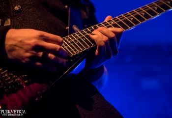 Hammer King - Photo by Marc