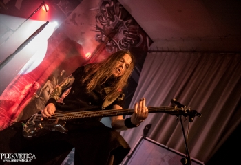 Hammer King - Photo by Marc