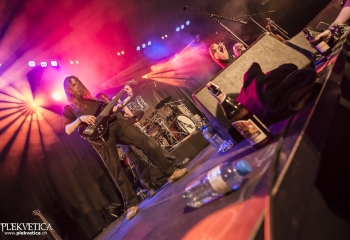 Hedera - Photo By Dänu