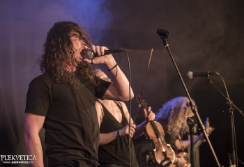 Hedera - Photo By Dänu