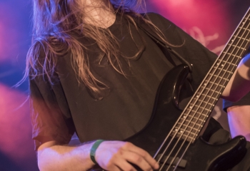 Hedera - Photo By Dänu