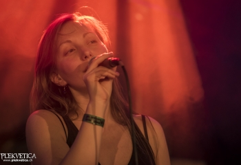 Hedera - Photo By Dänu