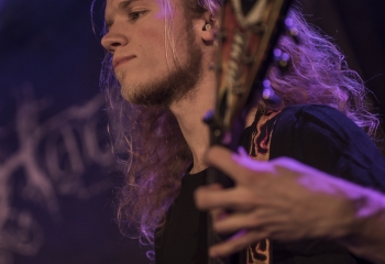 Hedera - Photo By Dänu