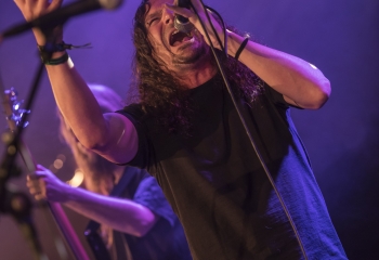 Hedera - Photo By Dänu