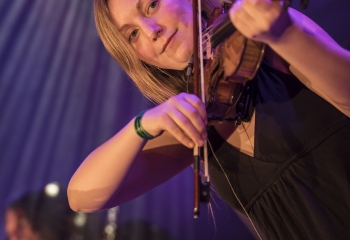 Hedera - Photo By Dänu