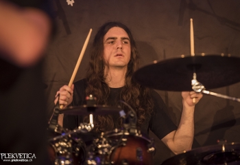 Hedera - Photo By Dänu