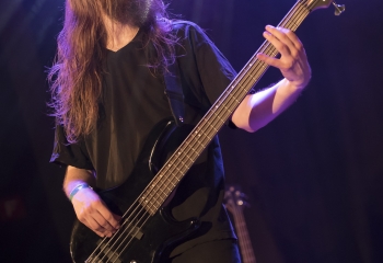 Hedera - Photo By Dänu