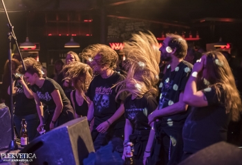 Hedera - Photo By Dänu