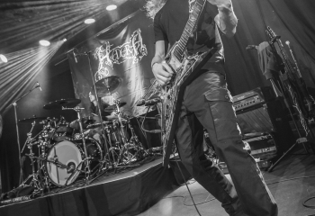 Hedera - Photo By Dänu